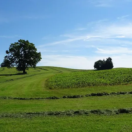 Familie Thoma Διαμέρισμα