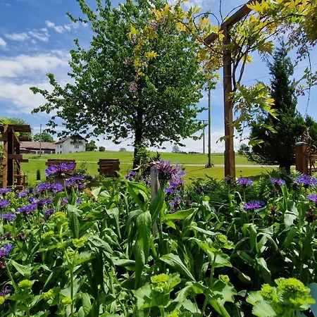 Familie Thoma Διαμέρισμα