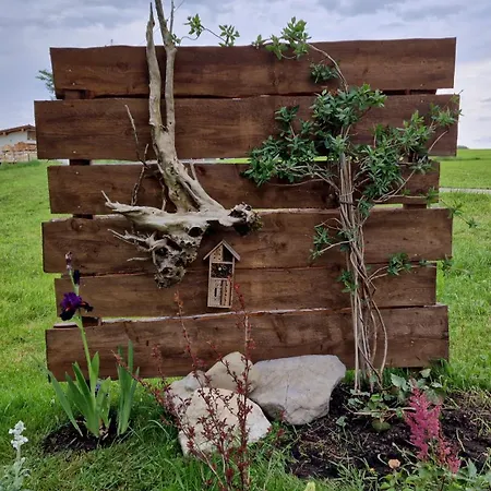 Familie Thoma * Argenbuhl