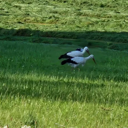 Apartamento Familie Thoma *