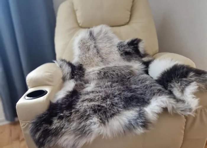 Familie Thoma * Argenbuhl